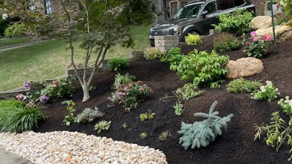 the-landscape-pro-mary-testimonial