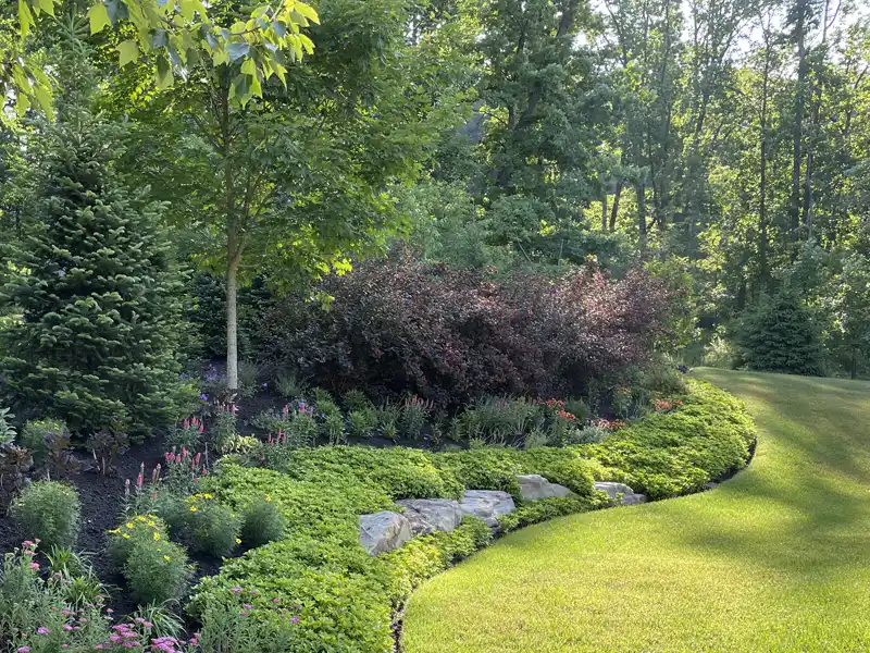 the-landscape-pro-renee-and-dave-testimonial-2