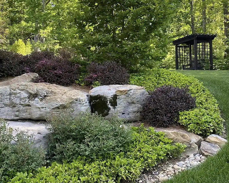the-landscape-pro-renee-and-dave-testimonial
